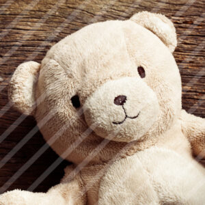 Urso Bege