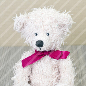 Urso Branco