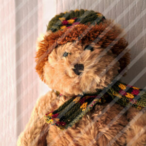 Urso do Ocre