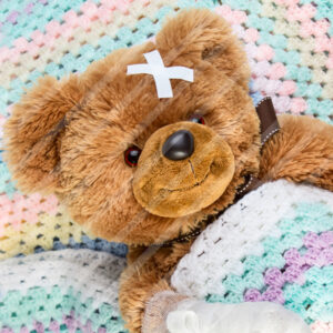 Urso Marrom